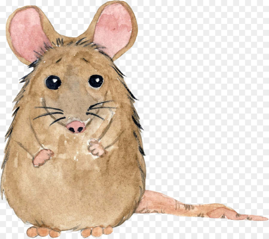 Tikus Lucu，Kartun PNG