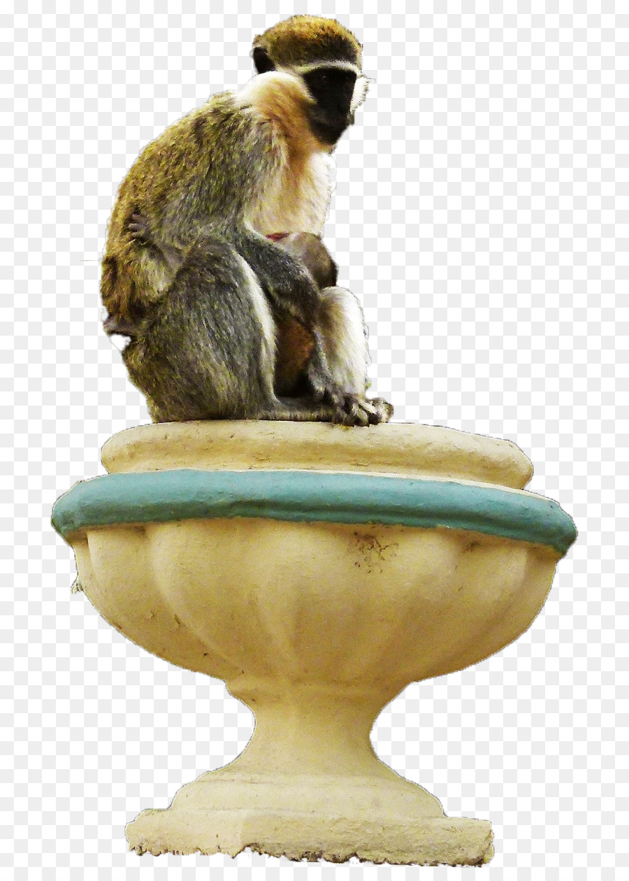 Patung，Monyet PNG