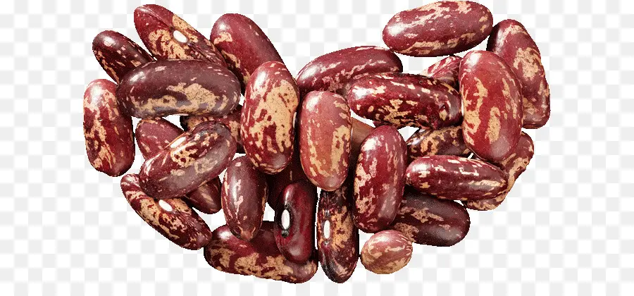 Umum Bean，Pelari Kacang PNG