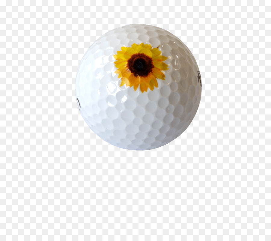 Bola Golf，Golf PNG