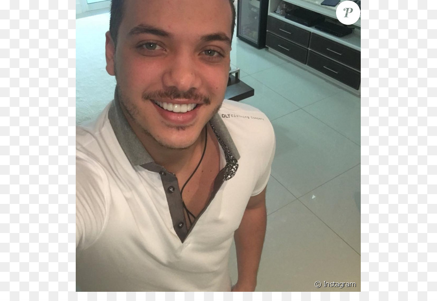 Wesley Safadão，Big Brother Brasil 16 PNG