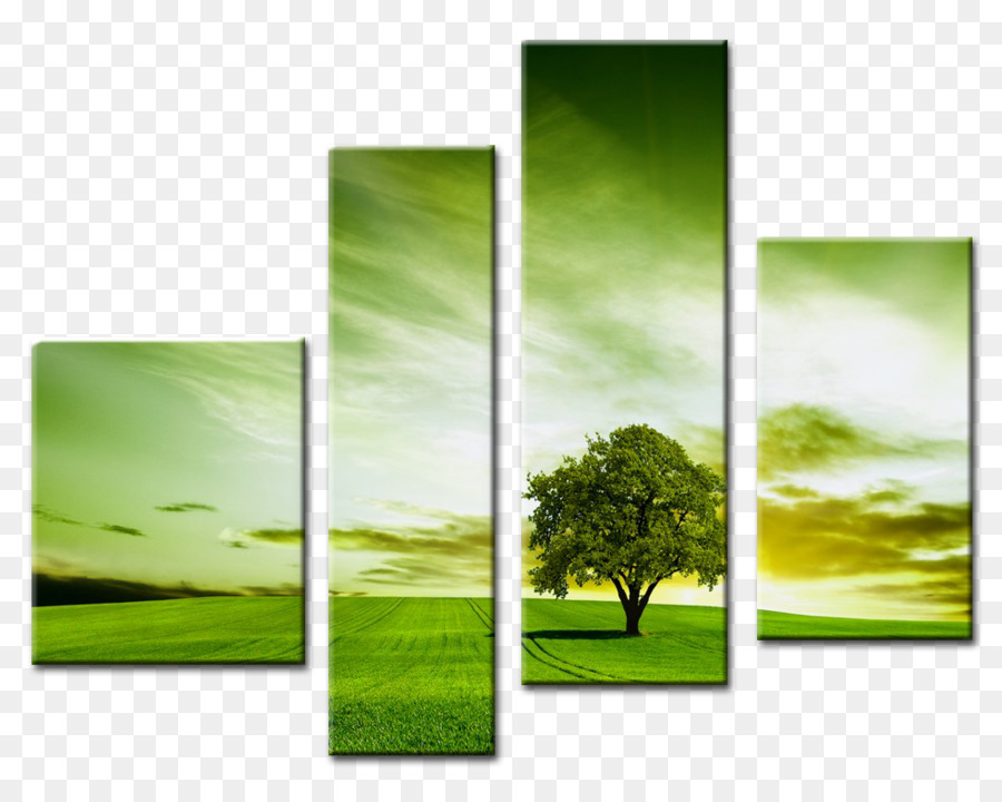 Pohon，Desktop Wallpaper PNG