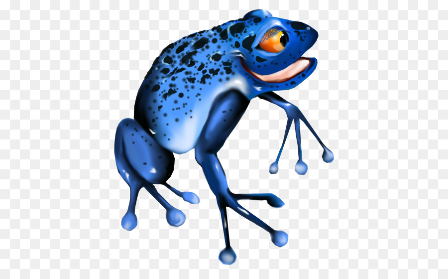 Katak，Amfibi PNG