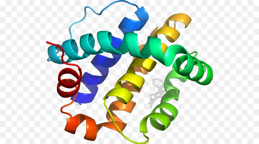 Struktur Dna，Genetika PNG