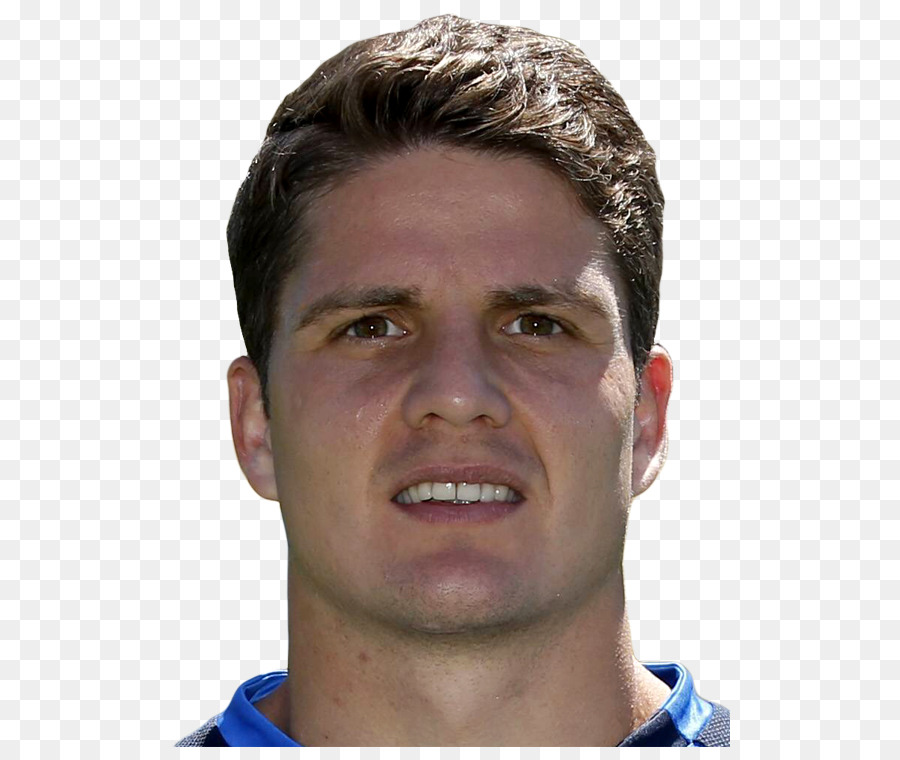 Pirmin Schwegler，201718 Bundesliga PNG