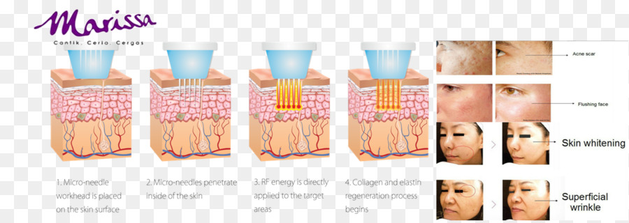 Kosmetik，Kulit PNG