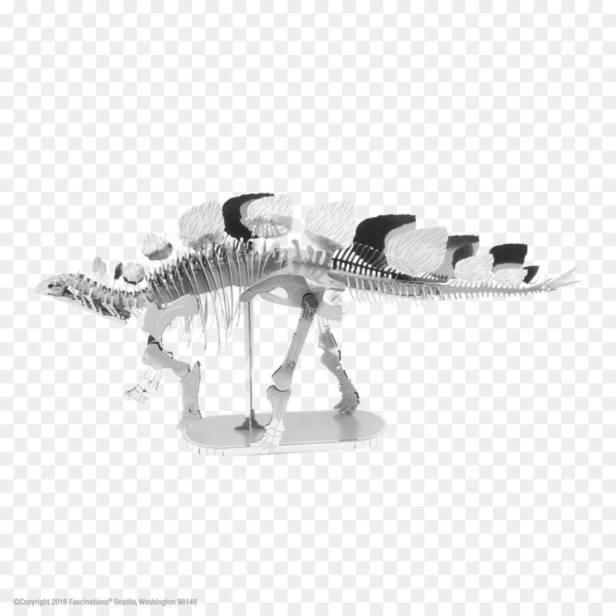 Stegosaurus，Dinosaurus PNG