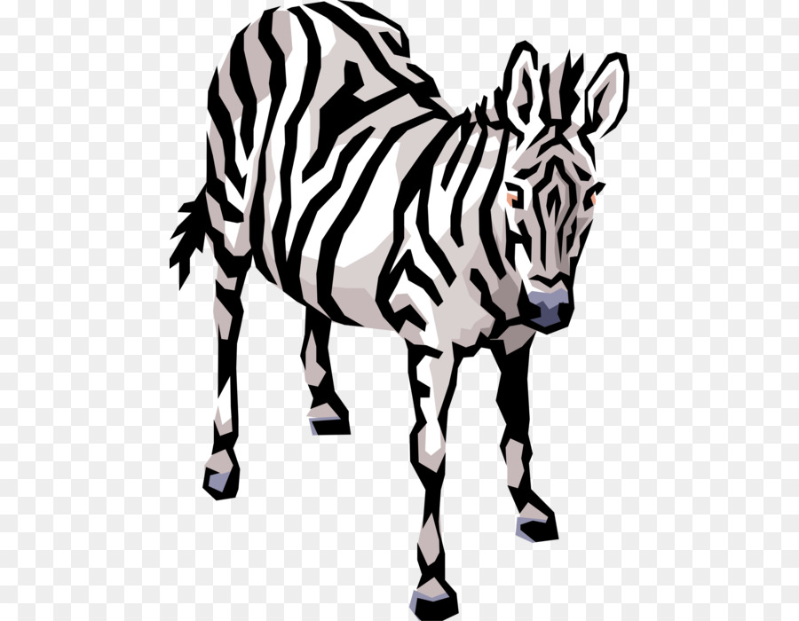 Zebra，Hitam Dan Putih PNG