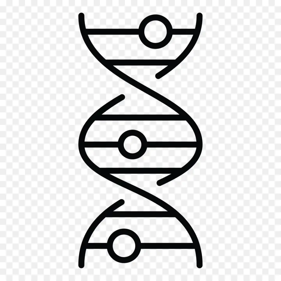 Dna，Genetika PNG