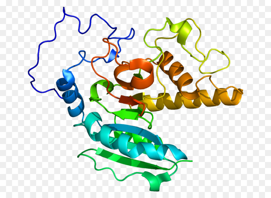 Struktur Protein，Molekul PNG