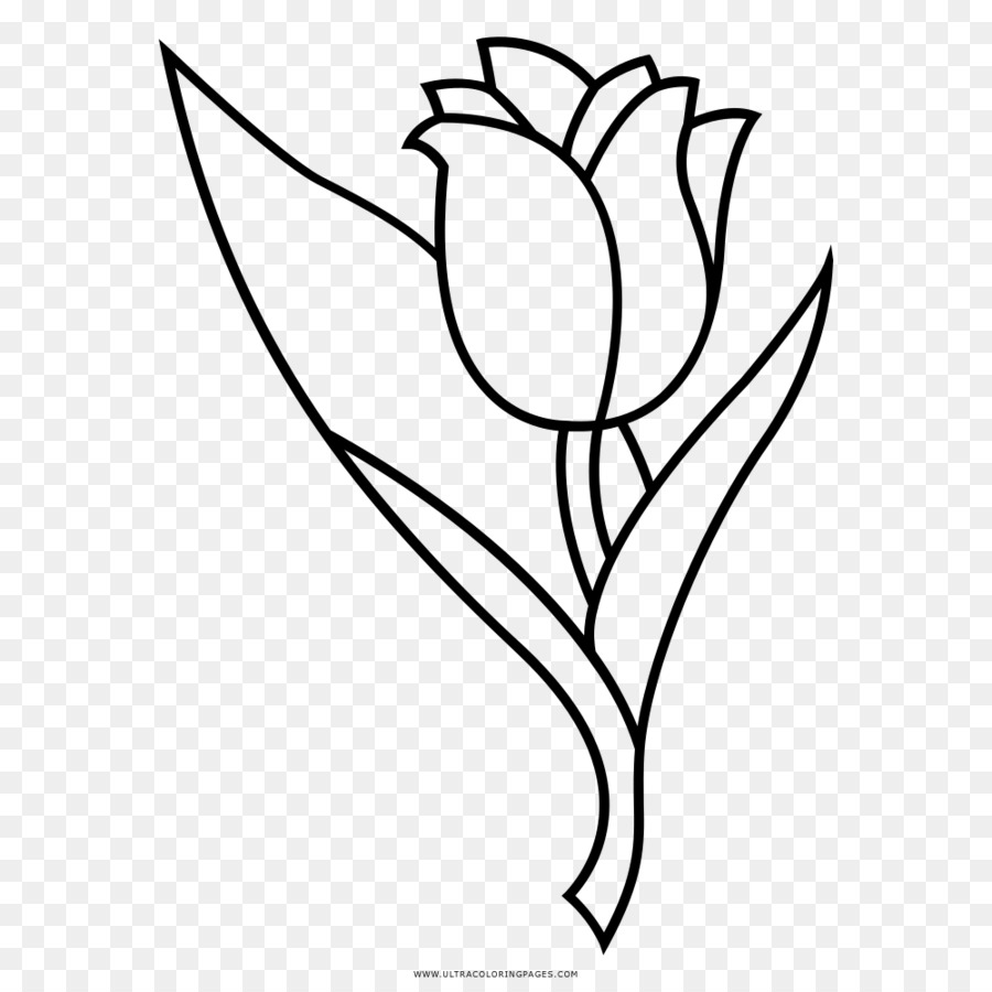 Gambar Bunga Tulip Animasi Hitam Putih