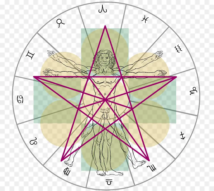 Manusia Vitruvian，Leonardo Da Vinci PNG