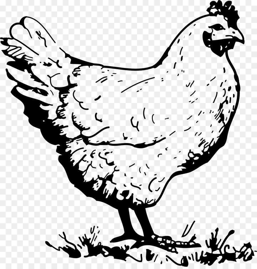 Mewarnai Gambar Ayam Goreng Kartun - Mewarnai Gambar Baru