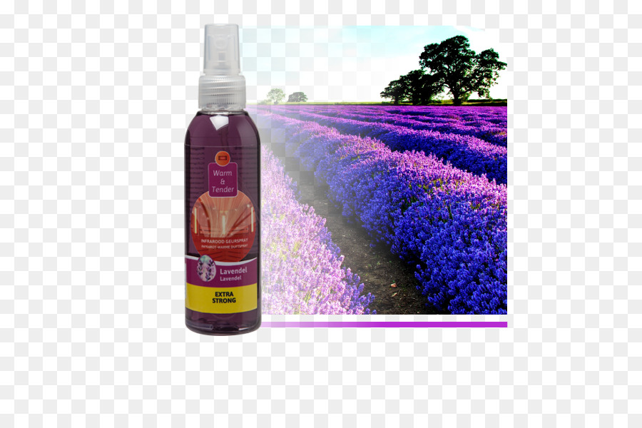 Gordes，Lavender PNG