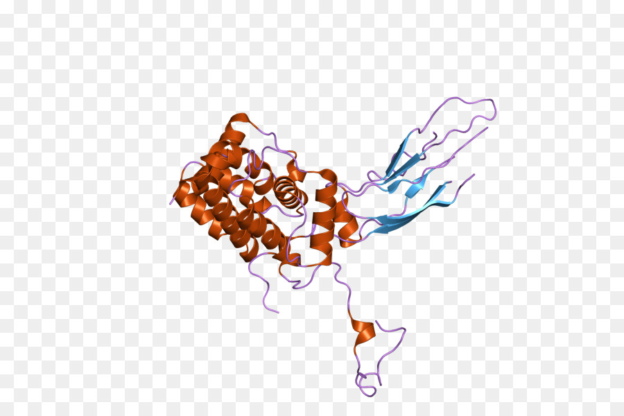 Struktur Protein，Molekul PNG