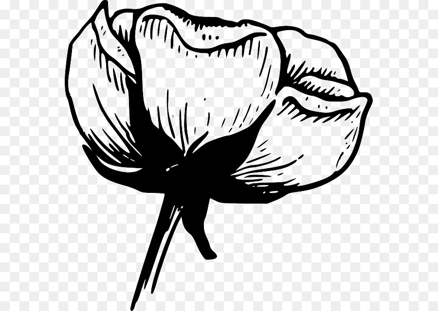 20+ Inspirasi Gambar Bingkai Bunga Mawar Hitam Putih ...