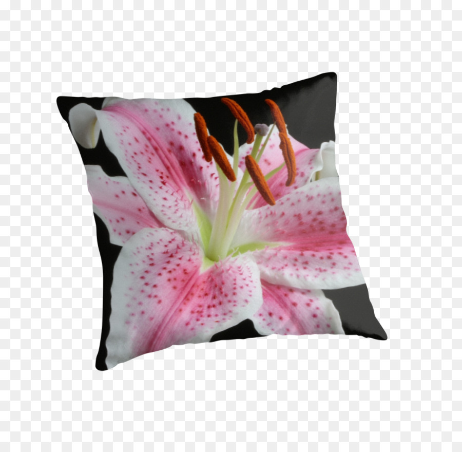 Bantal，Lily Teleskop PNG