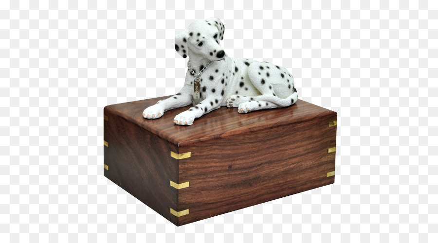 Anjing Dalmatian，Anjing Berkembang Biak PNG