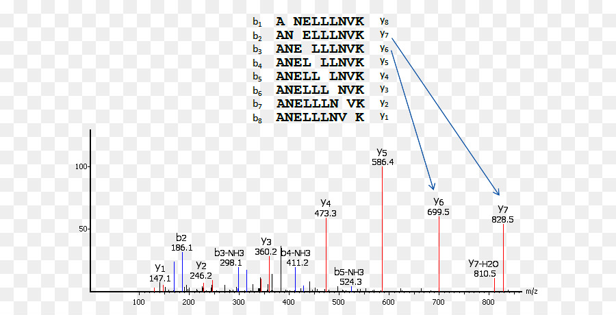 Spektrometri Massa Tandem，Sequencing Protein PNG