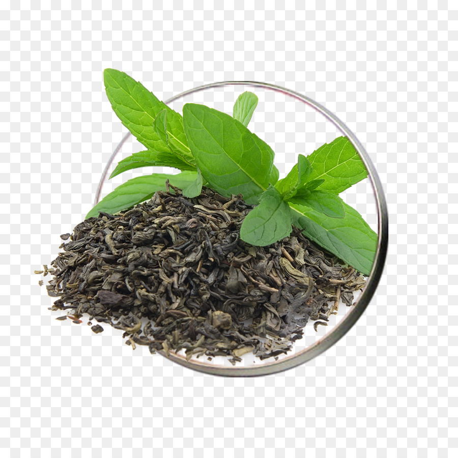 Daun Mint，Daun Daun PNG