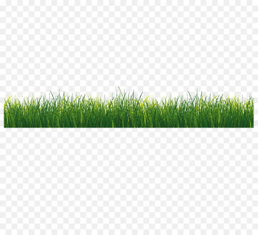 Vetiver，Wheatgrass PNG