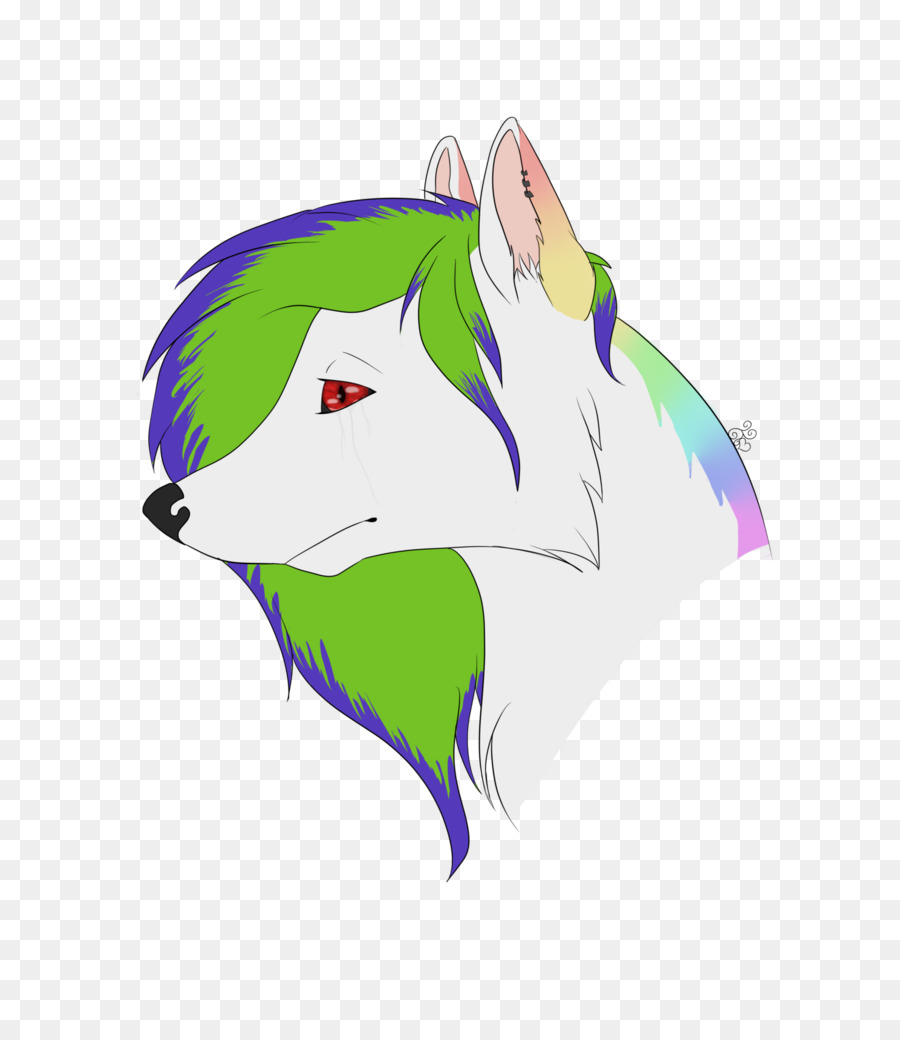 Canidae，Kuda PNG