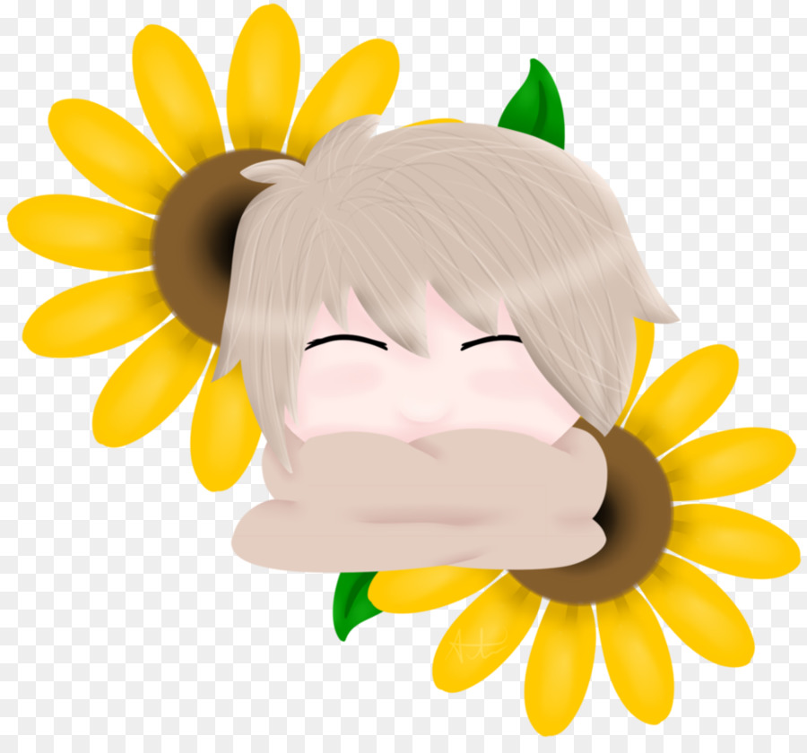 Hidung，Bunga Matahari M PNG