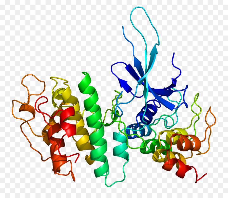 Struktur Protein，Molekul PNG