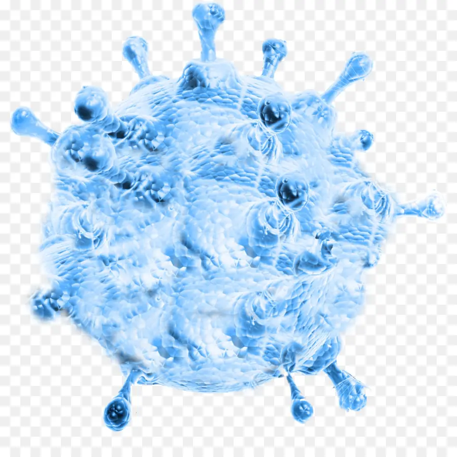 Virus，Infeksi PNG