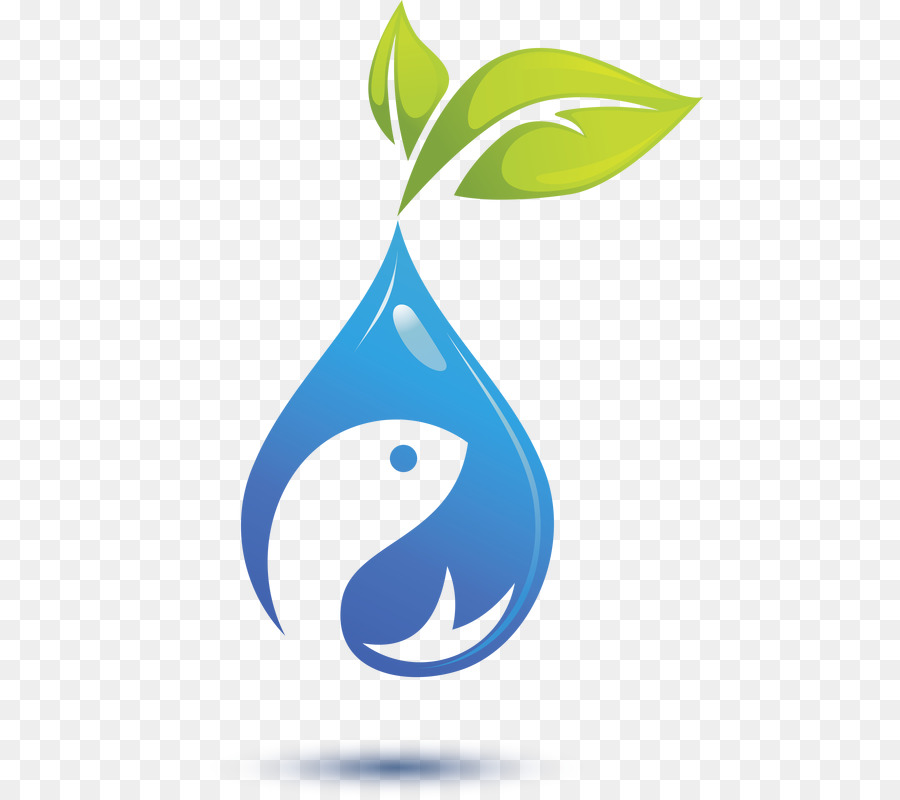 Aquaponics Hidroponik Air gambar png