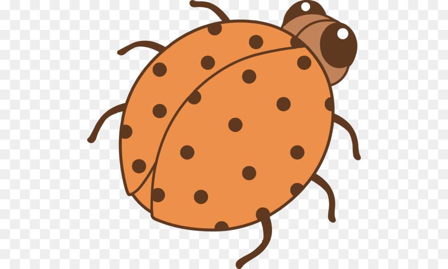 Warna，Kumbang Kumbang PNG