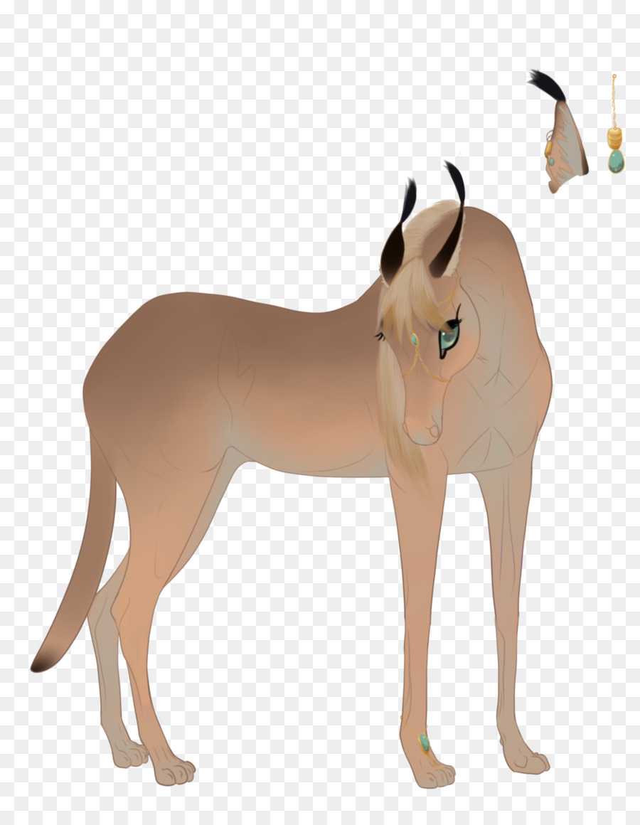 Mustang，Keledai PNG