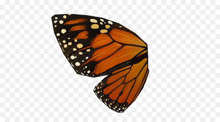 Kupu Kupu Monarch，Serangga PNG