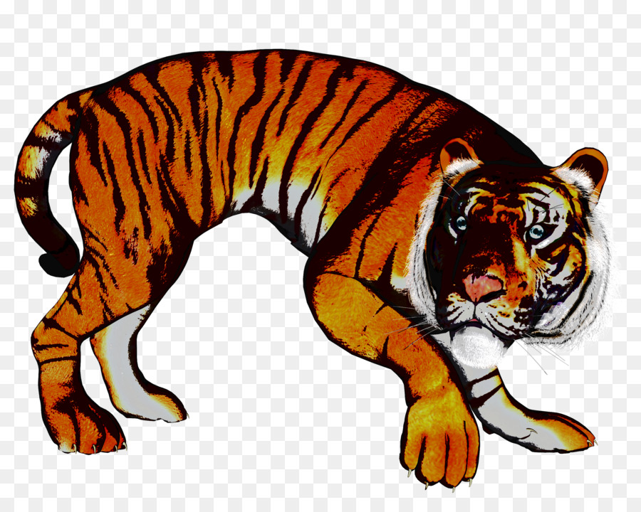 Harimau Kucing Hewan  Darat  gambar png