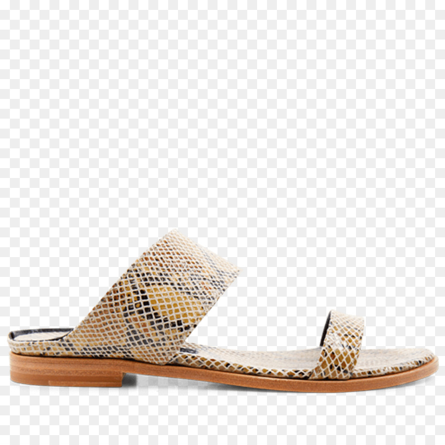 Slide，Sandal PNG