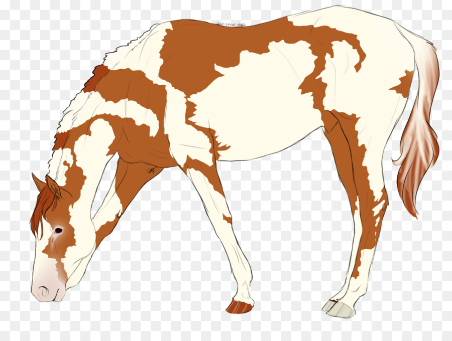 Kambing，Ternak PNG