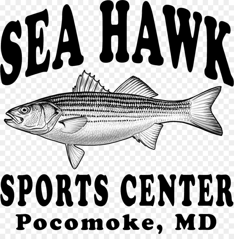 Sea Hawk Pusat Olahraga，Pocomoke City PNG