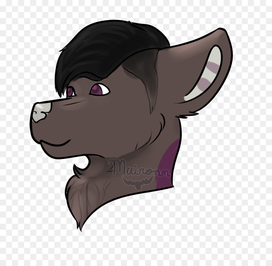 Canidae，Kuda PNG