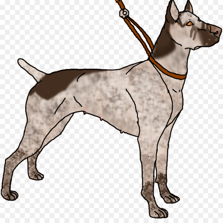 Anjing Berkembang Biak，Great Dane PNG