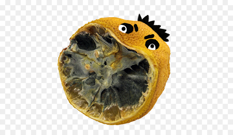 Fotografi Saham，Lemon PNG