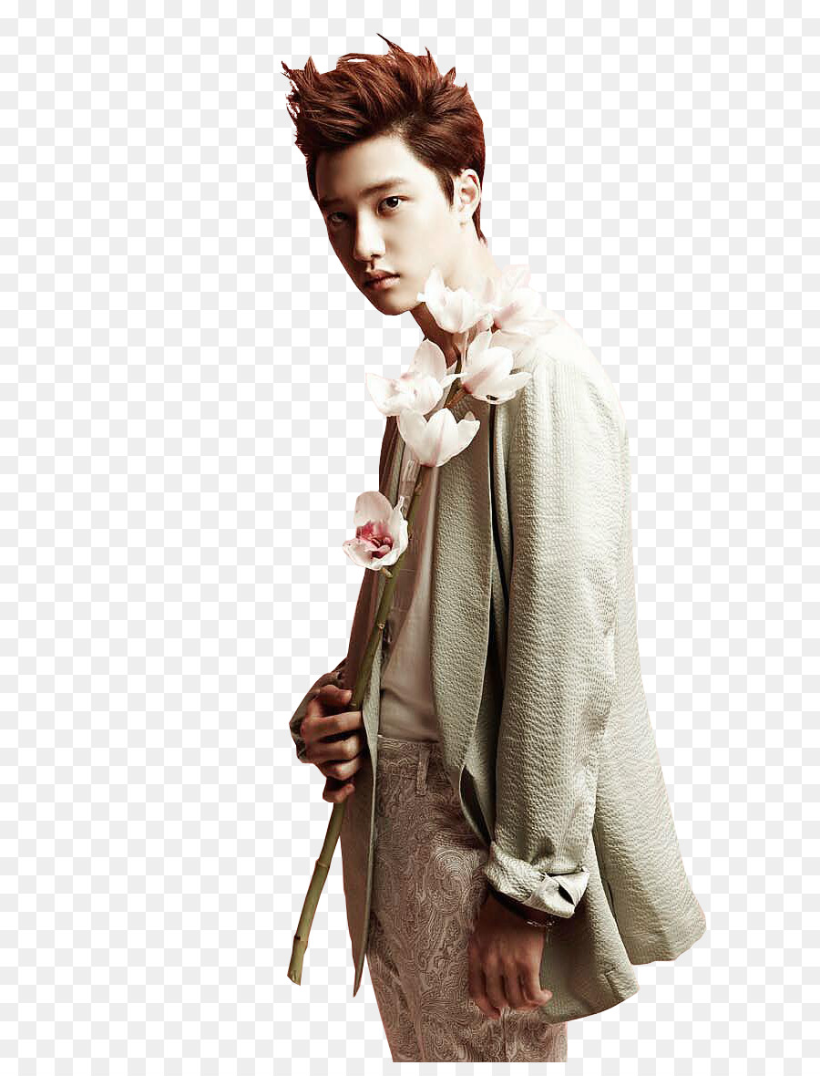 Apakah Kyungsoo，Exo PNG