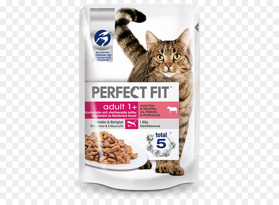 Kucing，Makanan Kucing PNG
