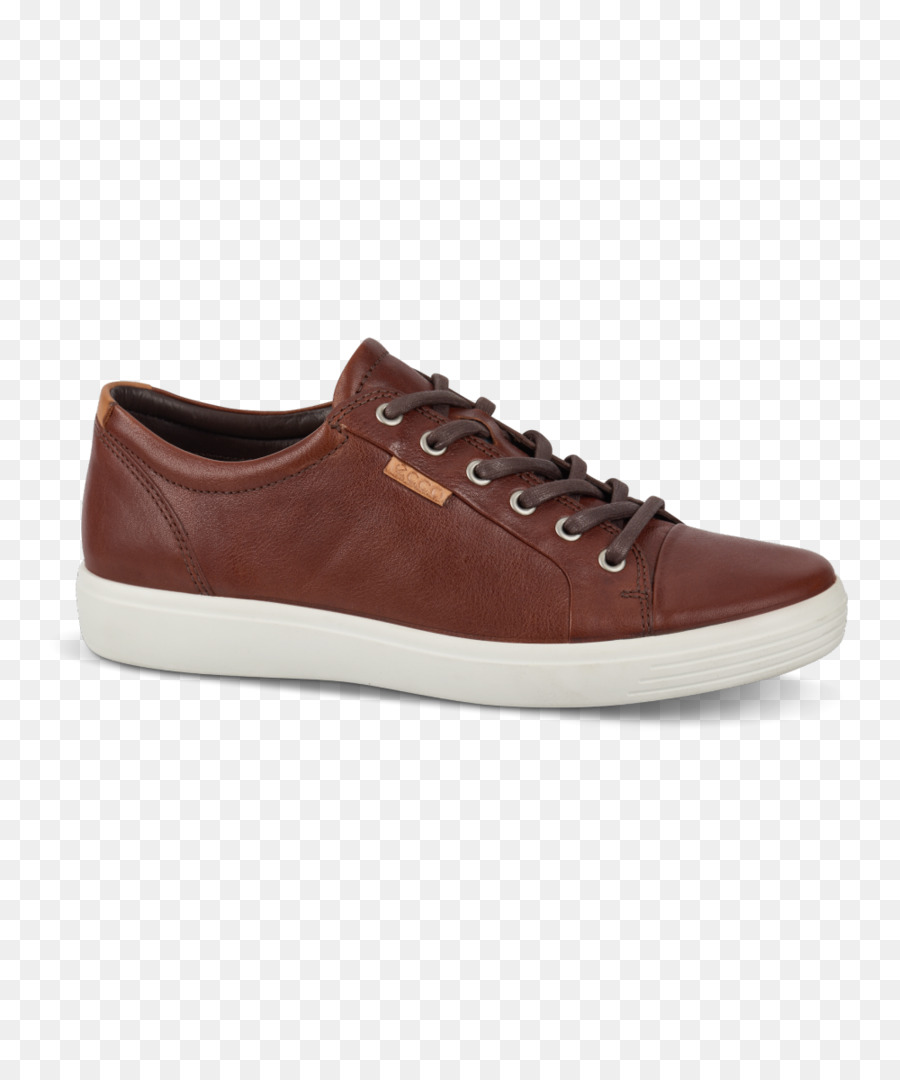 Sepatu，Quiksilver PNG