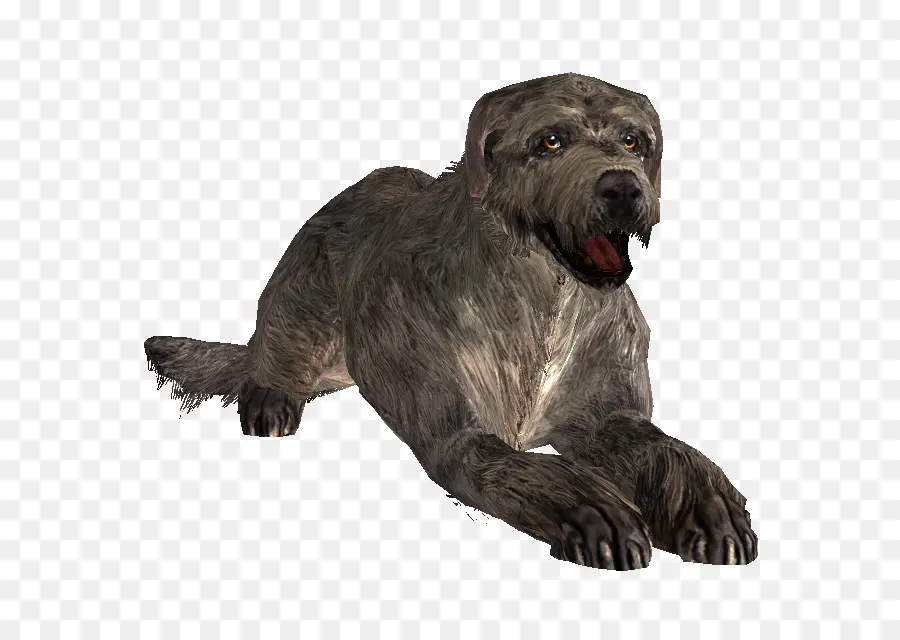 Anjing，Peliharaan PNG