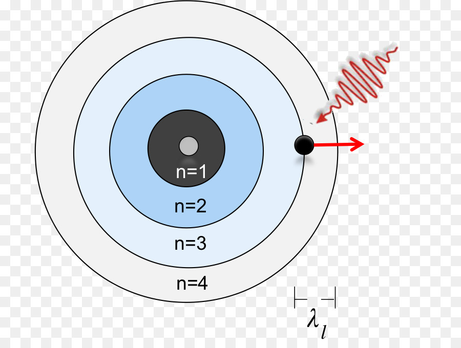 Diagram，Lingkaran PNG