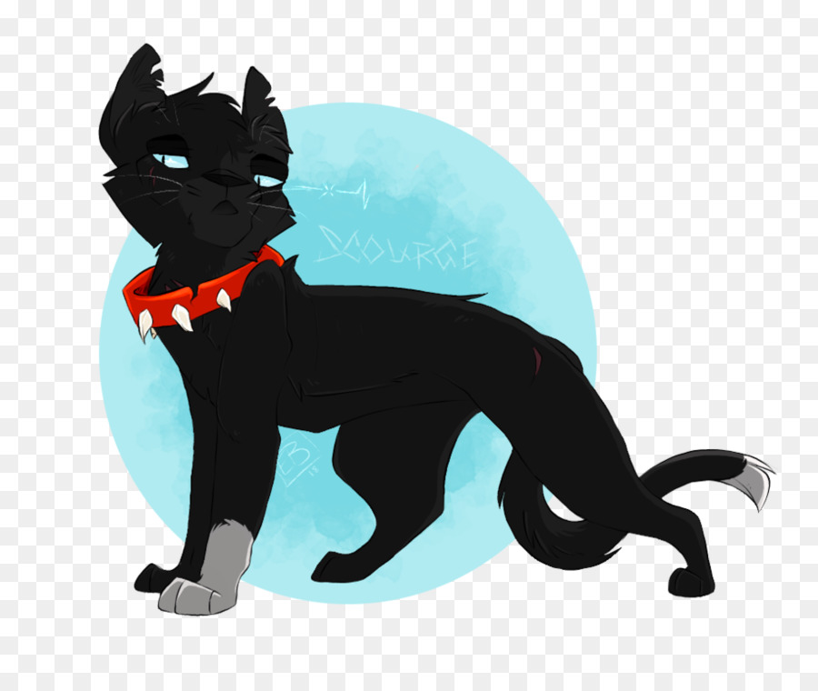 Kucing Hitam，Hewan PNG