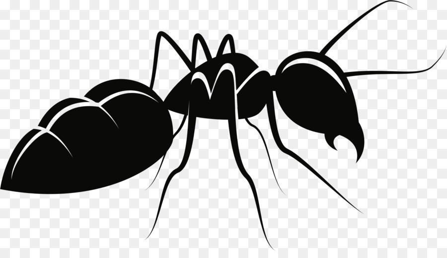 Semut Nyamuk Serangga Gambar Png