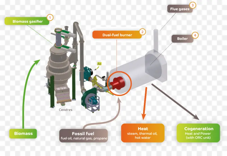 Gasifikasi，Biomassa PNG