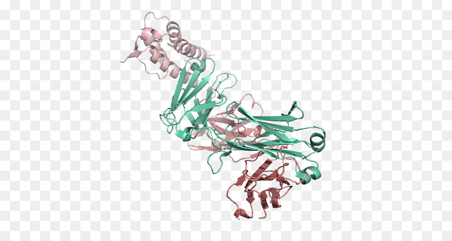 Struktur Protein，Molekul PNG