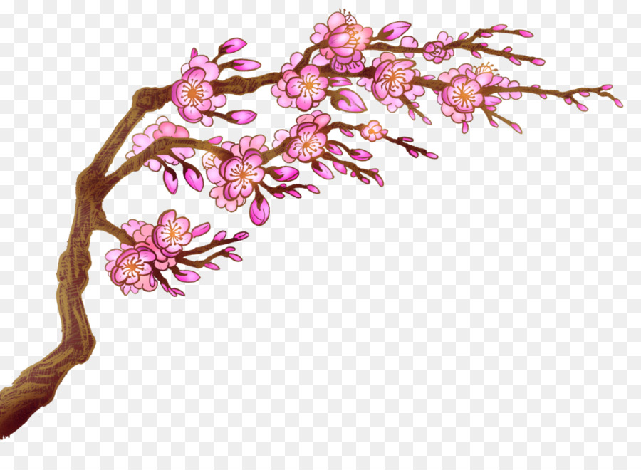 Sakura Blossom Cherry Gambar Png